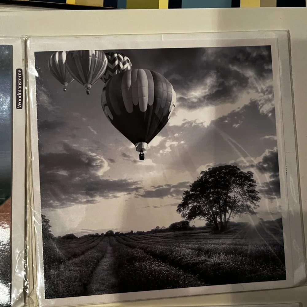 Greeting Cards - Beautiful Photography - Blank‎ (Set of 4 / New)